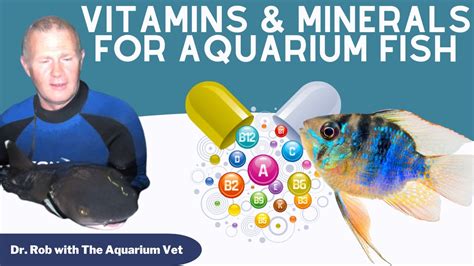 fish vitamins and minerals|9 Evidence.